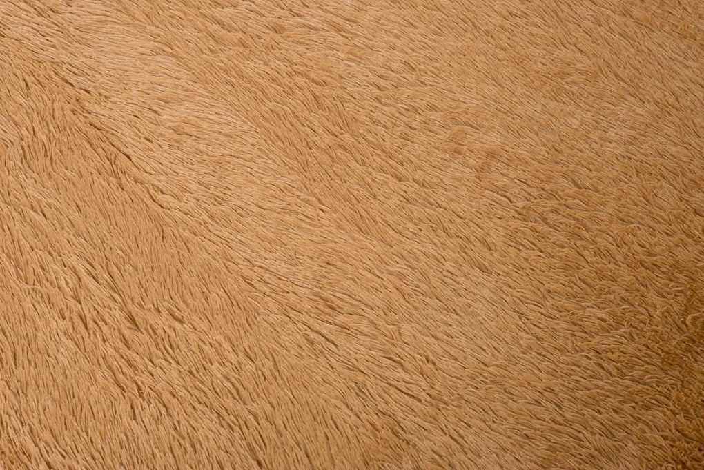 TA Koberec BEIGE BEIGE SILK Béžový Obdĺžnikový Rozmer: 120x170 cm