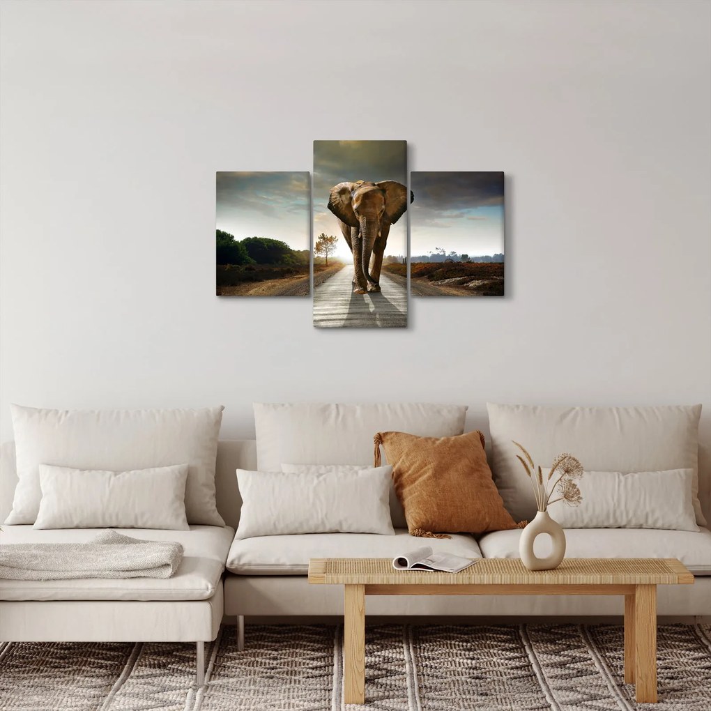 Obraz slona (90x60 cm)