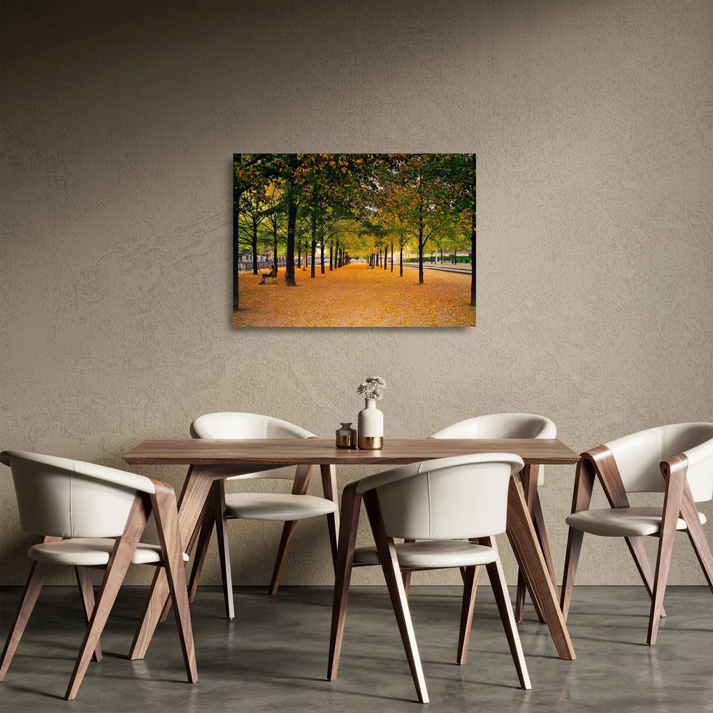 Sklenený obraz aleje jesenných stromov (70x50 cm)