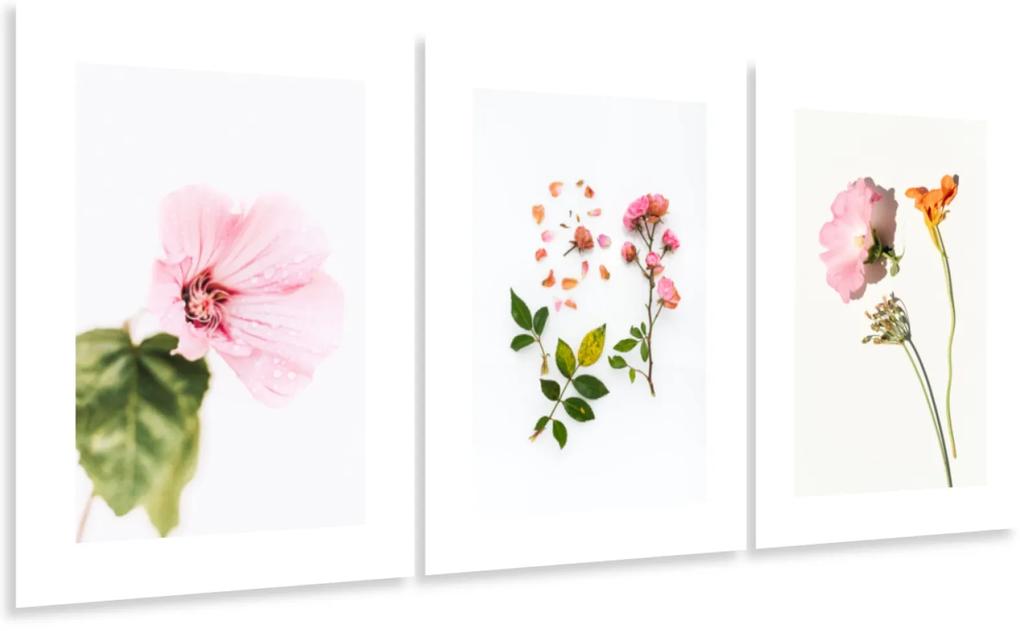 Gario Sada plagátov Kompozícia kvetov - 3 dielna Farba rámu: Bez rámu, Rozmery: 99 x 45 cm