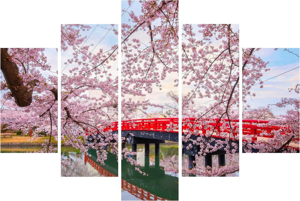 Obraz - Hirosaki, Japonsko (150x105 cm)