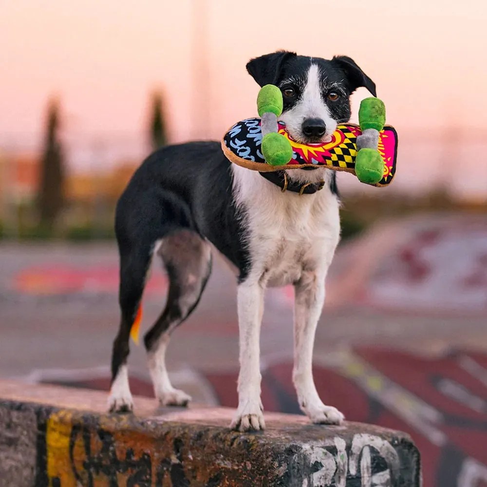 Hračka pre psa Skateboard – P.L.A.Y.