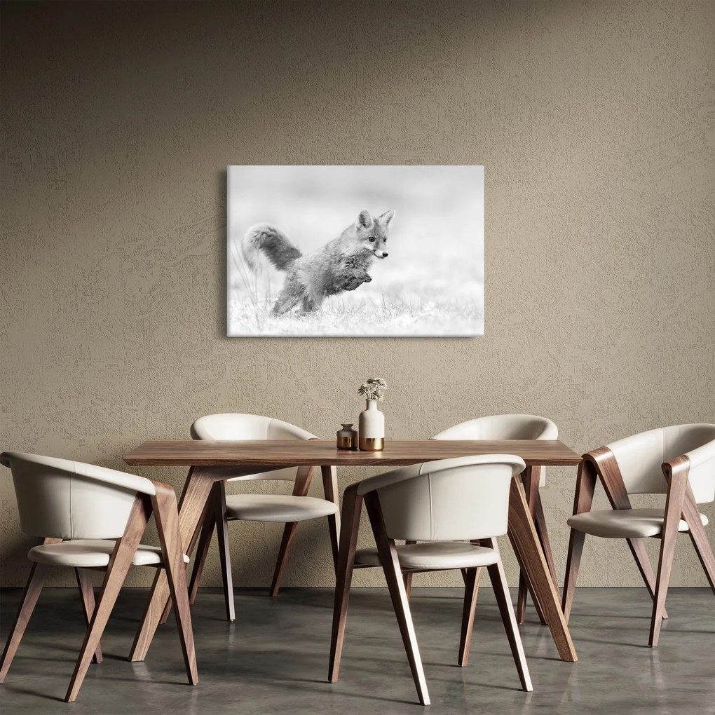 Obraz - Skákajúca líška, čiernobiela (90x60 cm)