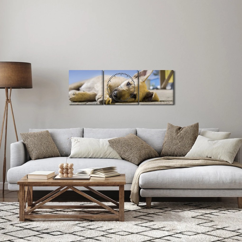 Obraz ležiaceho šteňaťa (s hodinami) (90x30 cm)