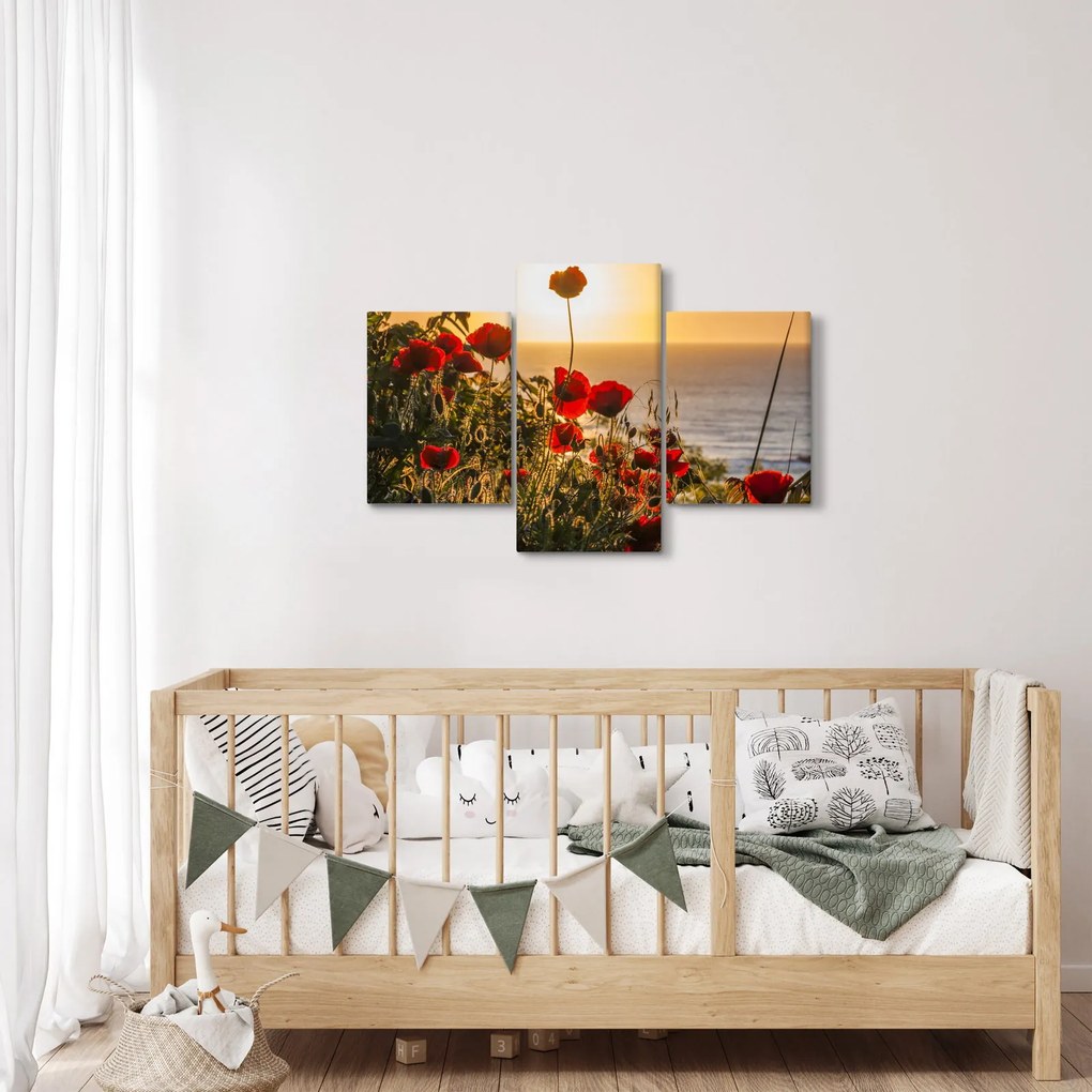 Obraz západu slnka s vlčími makmi (90x60 cm)