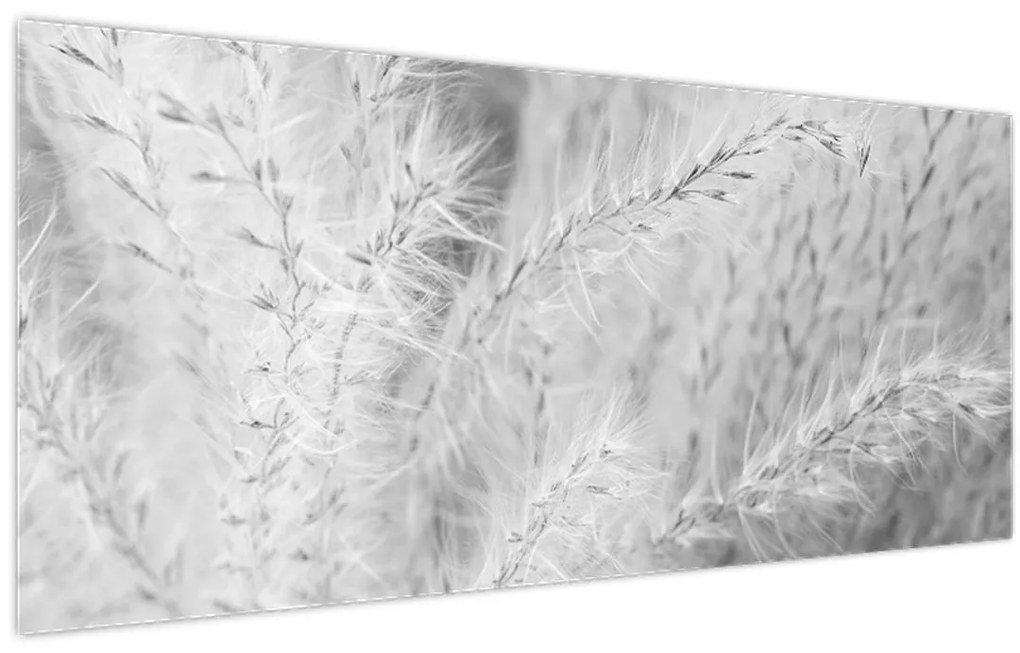 Obraz - Pampas grass N⁰1 (120x50 cm)