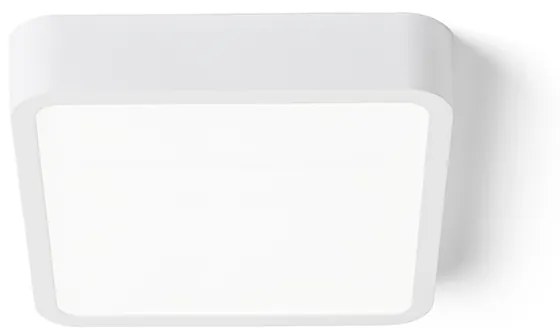 RENDL R12810 HUE LED prisadené svietidlo, technické biela