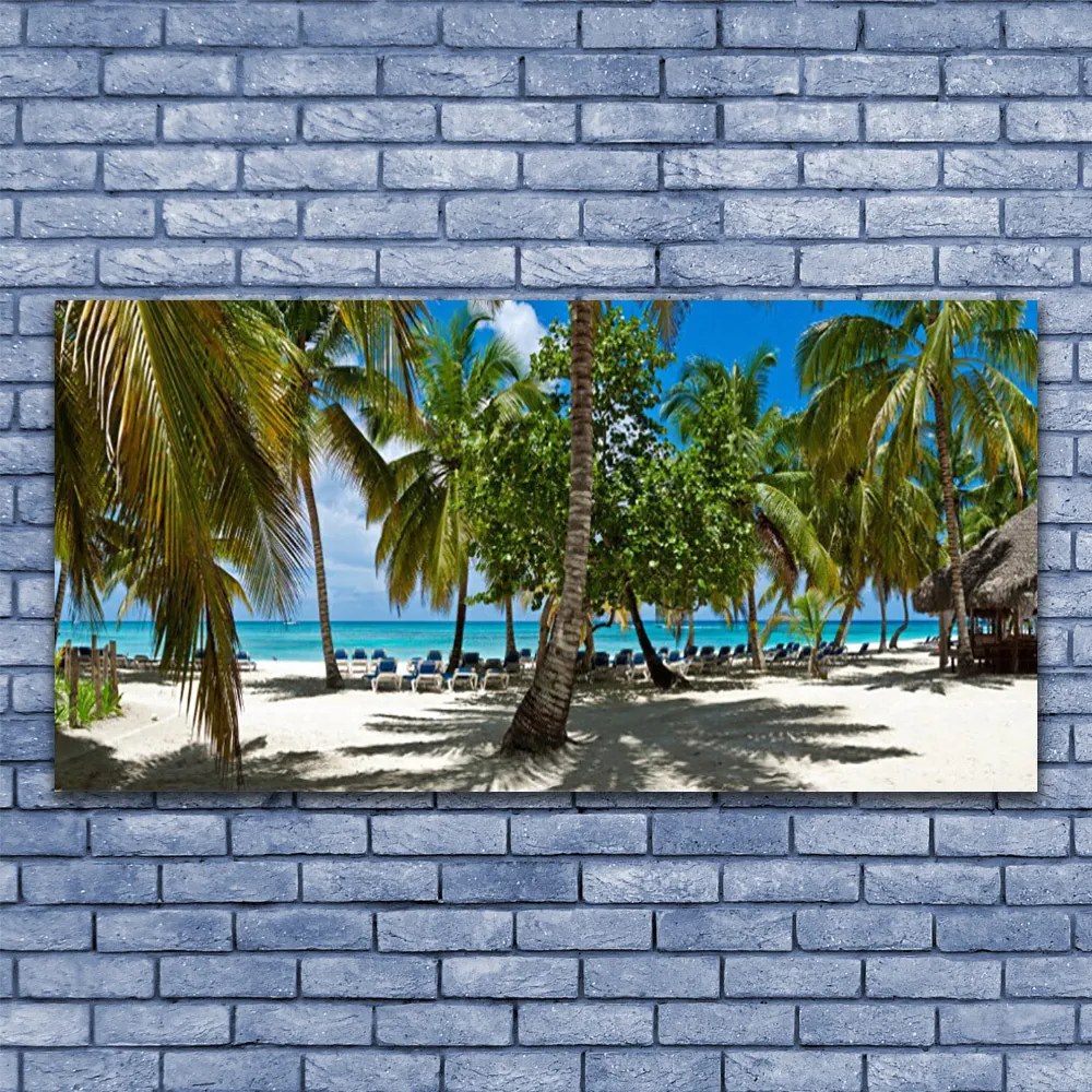 Obraz plexi Pláž palma stromy príroda 120x60 cm