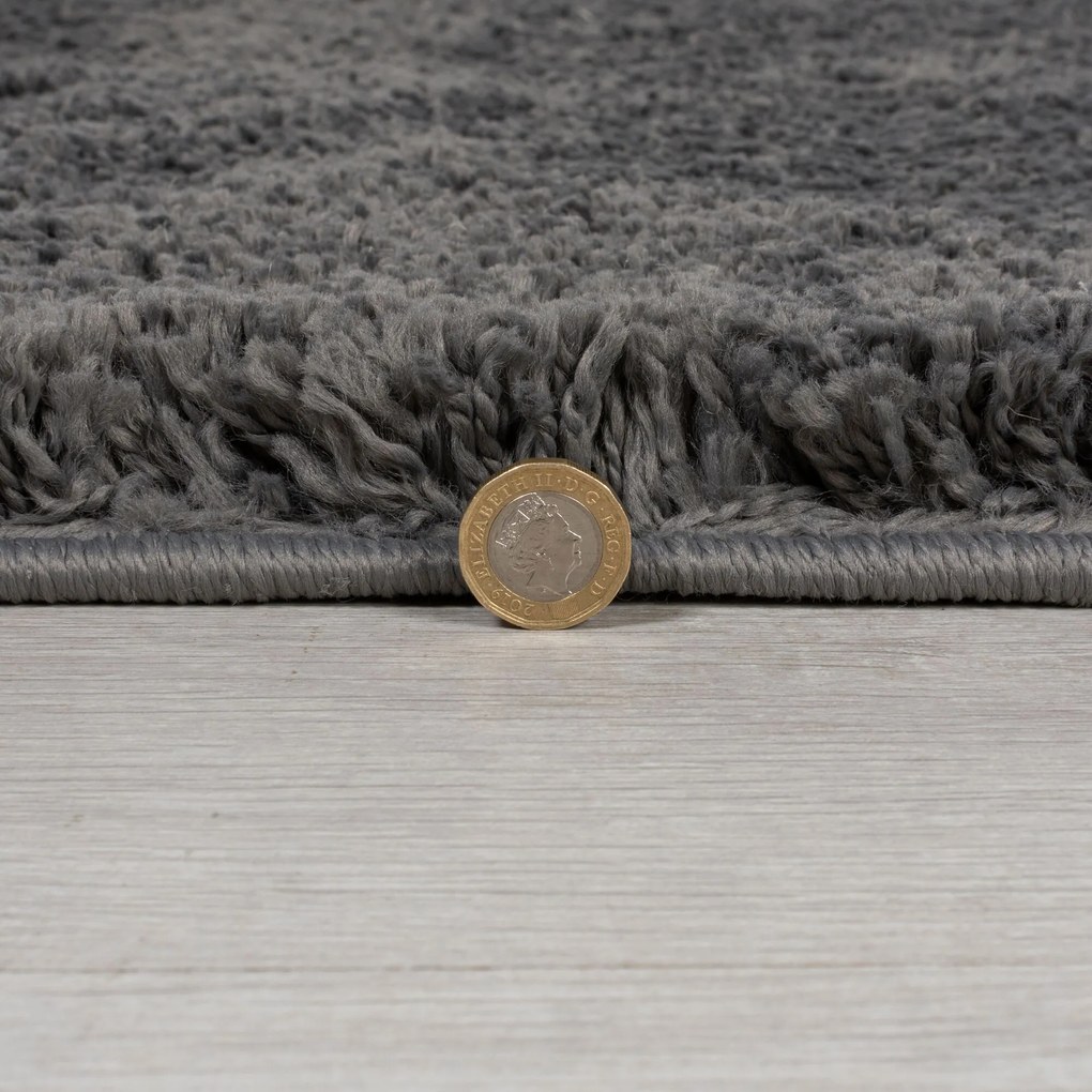 Flair Rugs, Kusový koberec Shaggy Teddy Charcoal, 120x170, šedá, obývacia izba