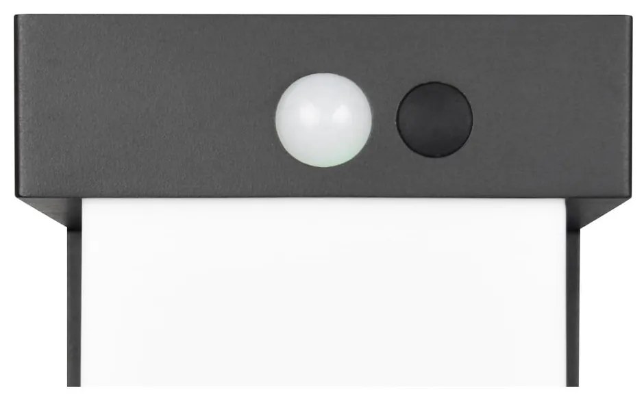 LED nástenné solárne vonkajšie svietidlo (výška 14 cm) Colombo – Reality