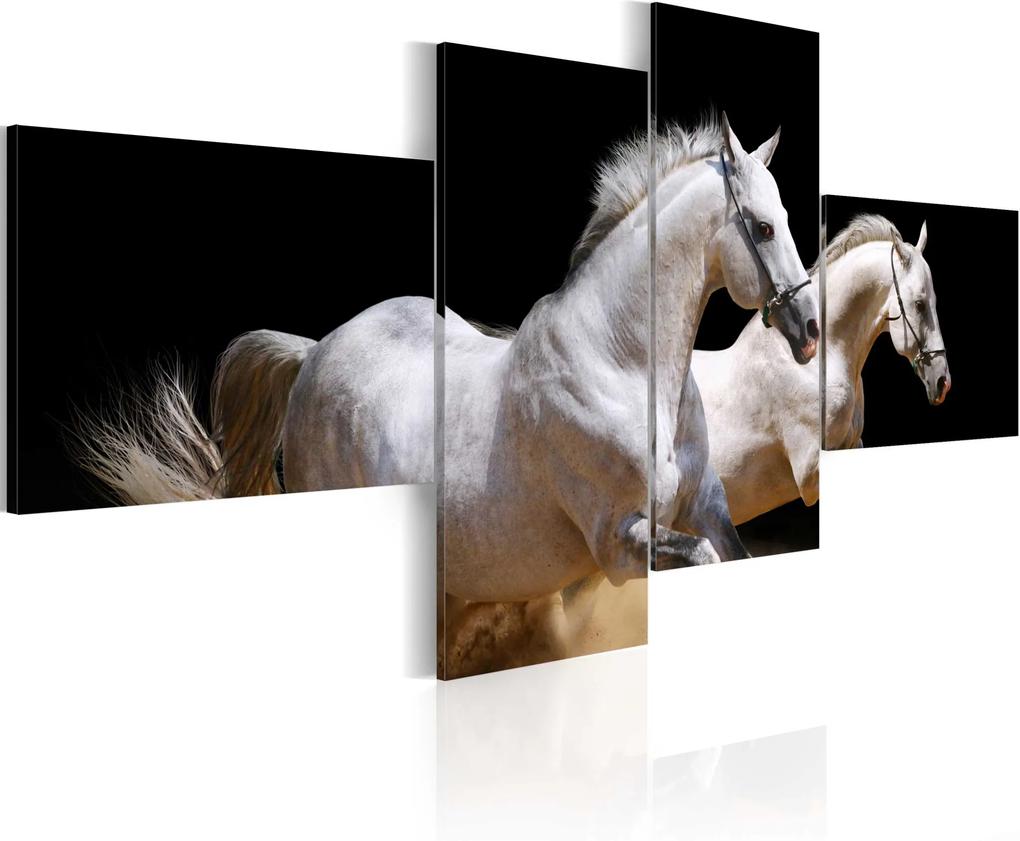 Obraz - Animal world- white horses galloping 200x90