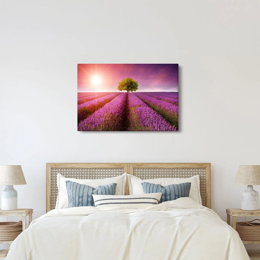 Obraz poľa s levanduľami (90x60 cm)