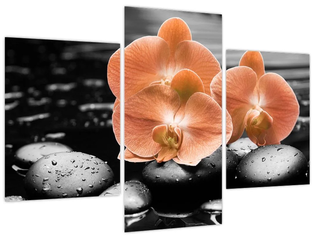 Obraz - Oranžové orchidey (90x60 cm)