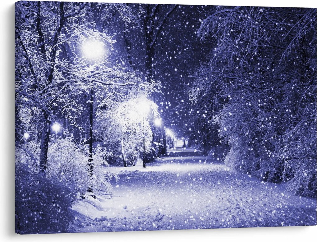 Obraz - Čarovná zimná noc (70x50 cm)