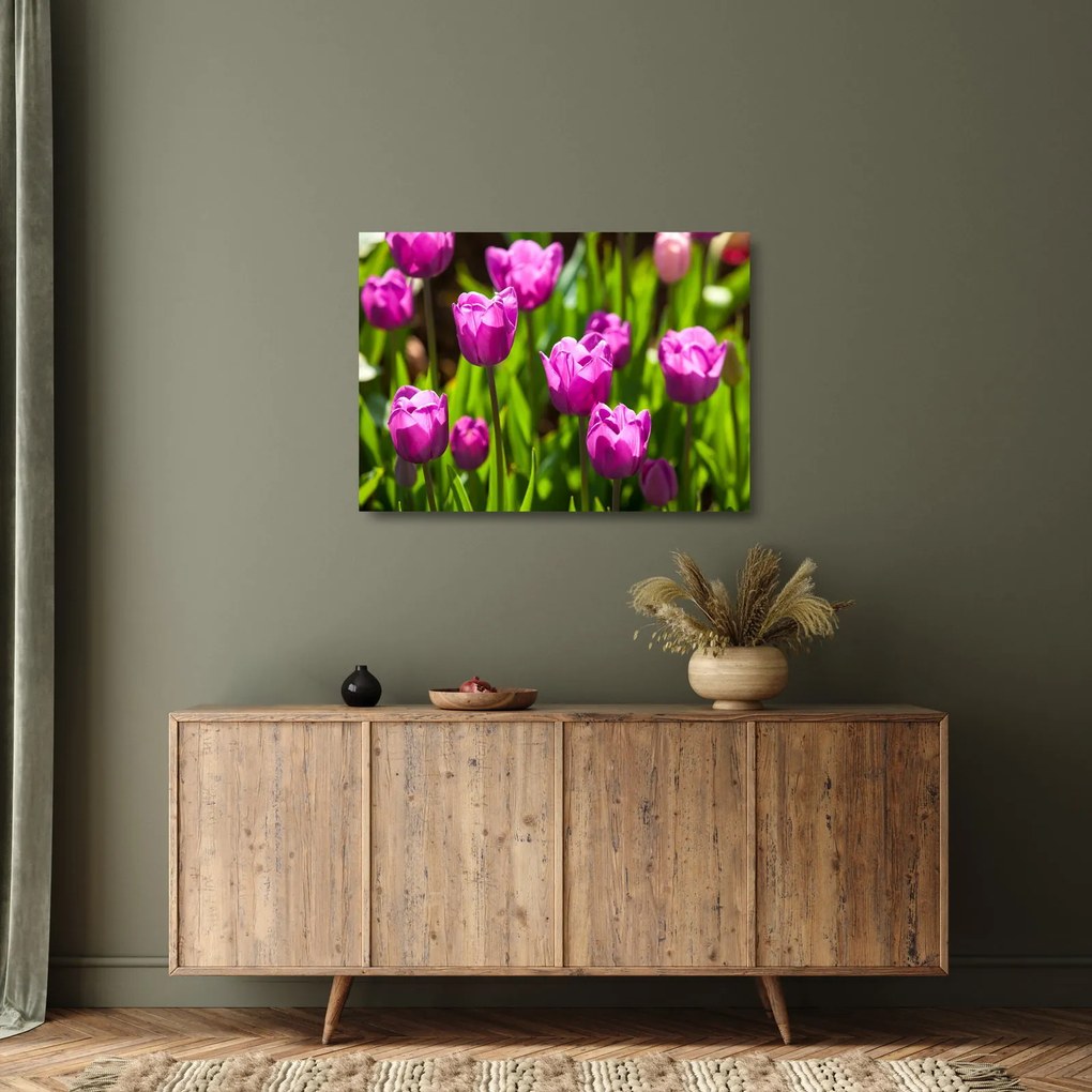 Sklenený obraz tulipánov na lúke (70x50 cm)