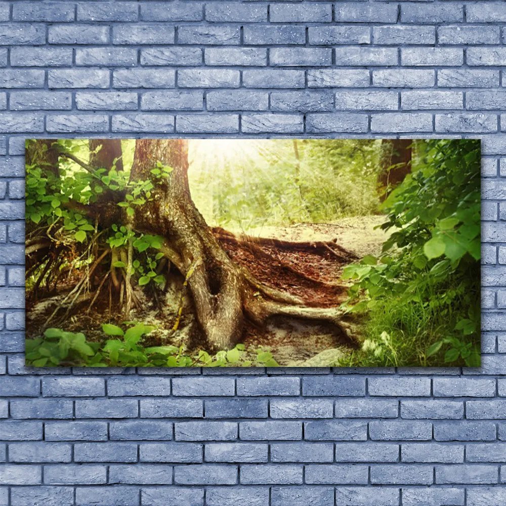 Obraz plexi Strom kmeň príroda les 120x60 cm