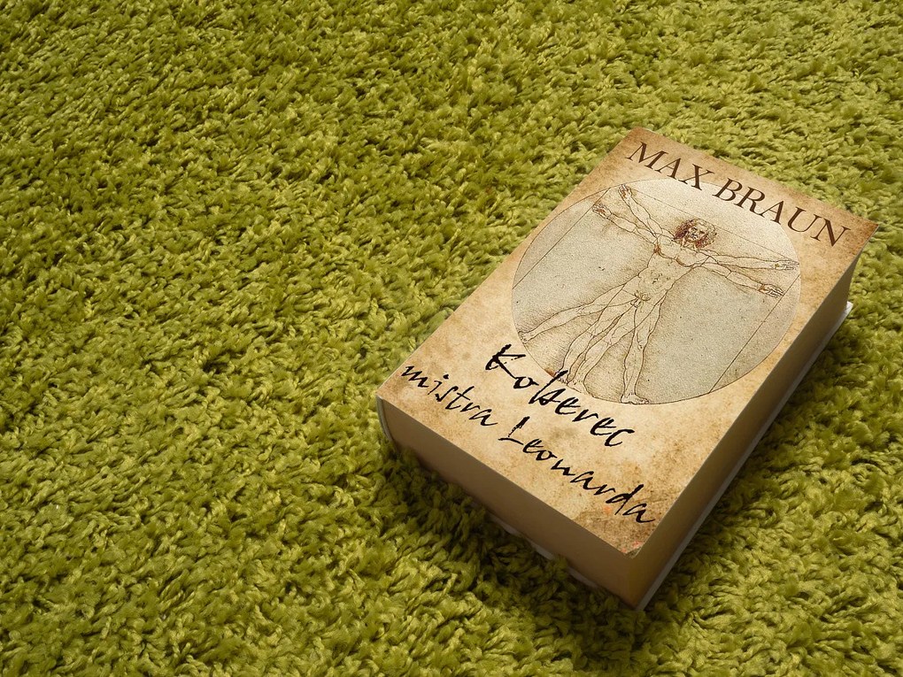 Mono Carpet, Kusový koberec Efor Shaggy 1903 Green, 160x230, zelená, obývacia izba