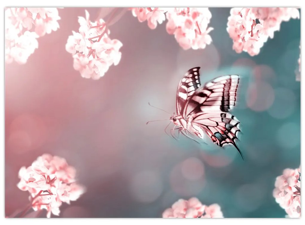 Obraz - Motýľ medzi kvetmi (70x50 cm)