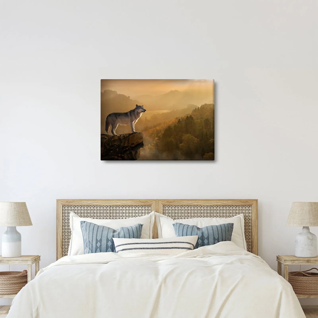Obraz vlka na skale (70x50 cm)