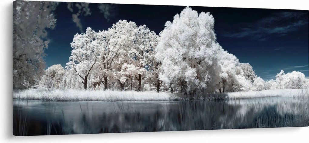 Obraz - Snehobiele stromy (120x50 cm)
