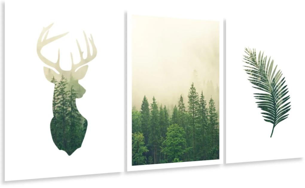 Gario Sada plagátov Divá príroda - 3 dielna Farba rámu: Rustikálna, Veľkosť: 135 x 63 cm