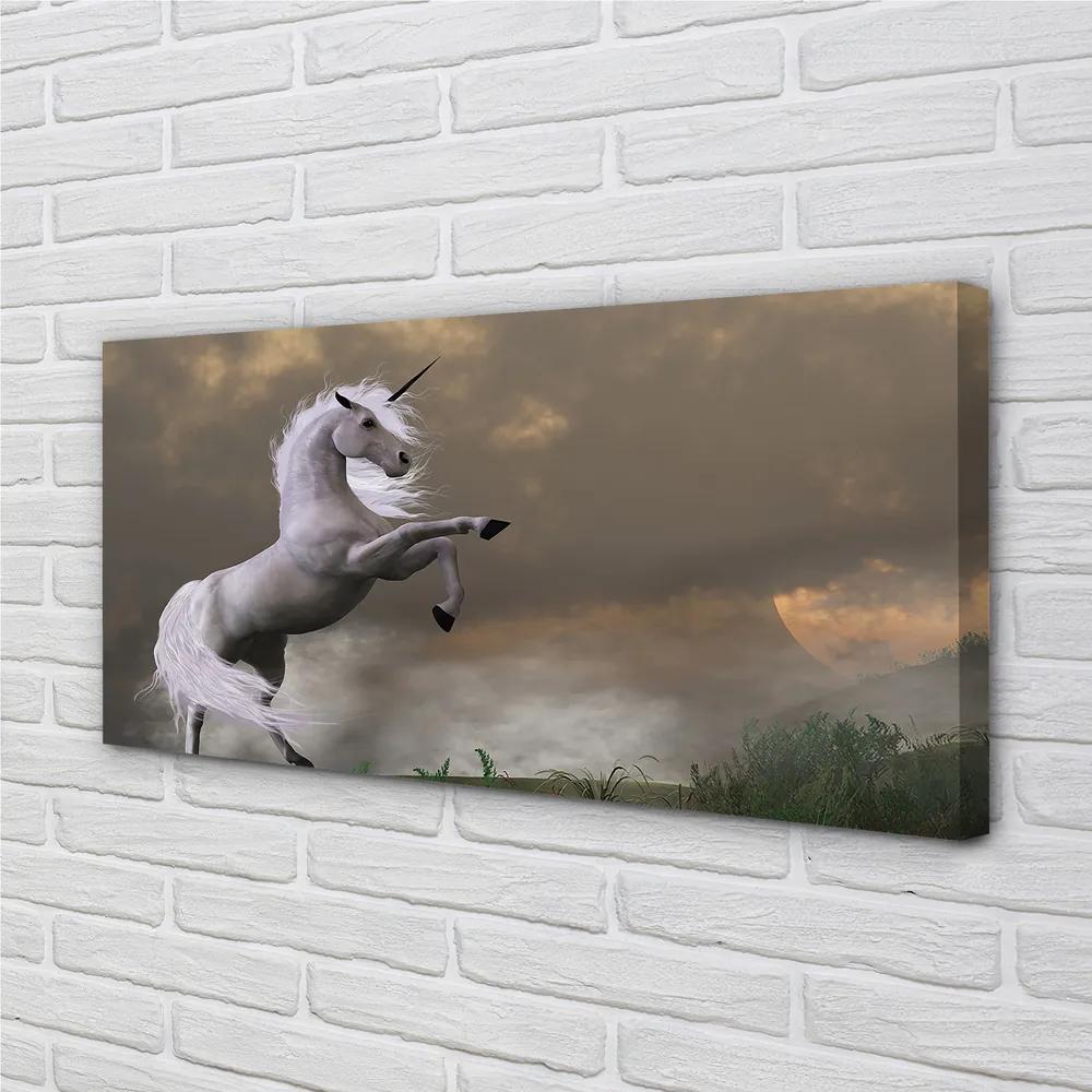 Obraz na plátne Unicorn top 120x60 cm