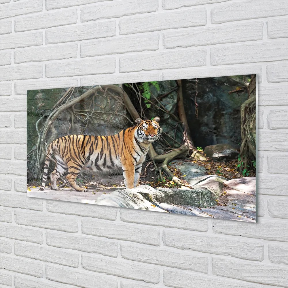 Obraz na akrylátovom skle Tiger džungle 140x70 cm