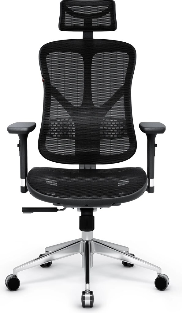 Ergonomická kancelárska stolička zo sieťoviny čierna: Diablo V-Basic
