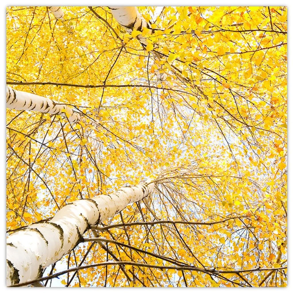 Jesenné lístie - moderný obraz