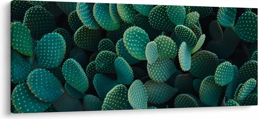 Obraz - Opuncie (120x50 cm)