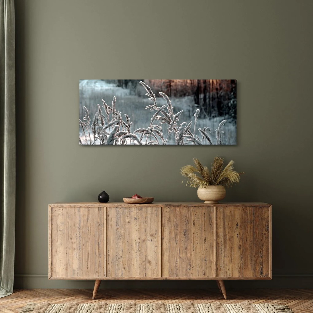 Obraz - Zamrznutá lúka (120x50 cm)