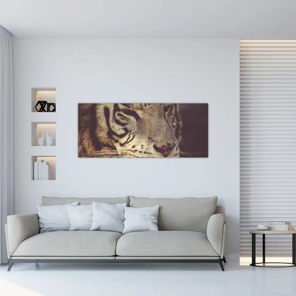 Obraz tigra (120x50 cm)