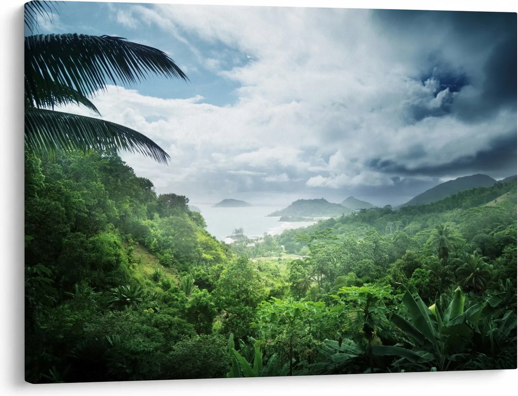 Obraz - Seychelská jungle (70x50 cm)