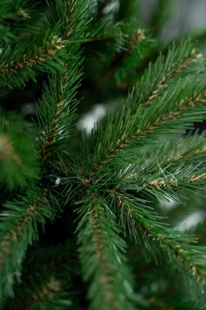 Limpol Smrek Natura 2,40 m