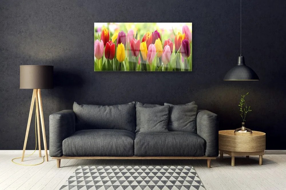 Obraz plexi Tulipány kvety príroda 100x50 cm