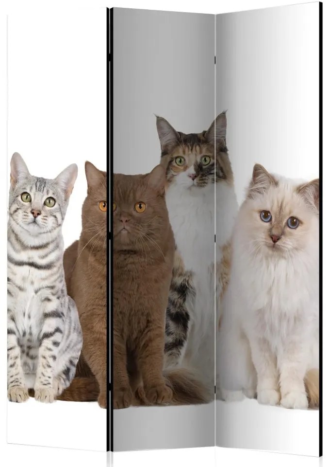 Artgeist Paraván - Sweet Cats [Room Dividers]