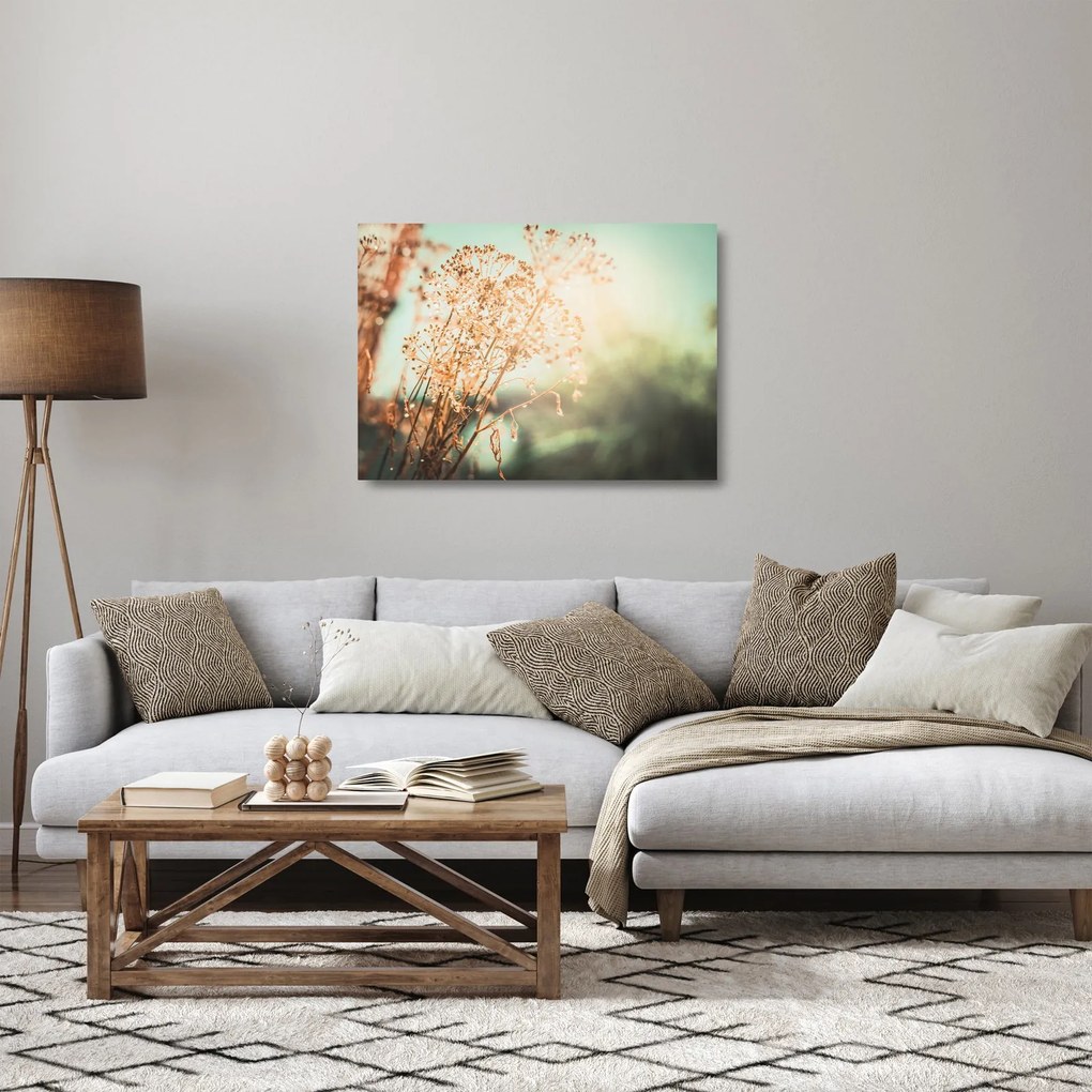Sklenený obraz - Rastliny po daždi (70x50 cm)