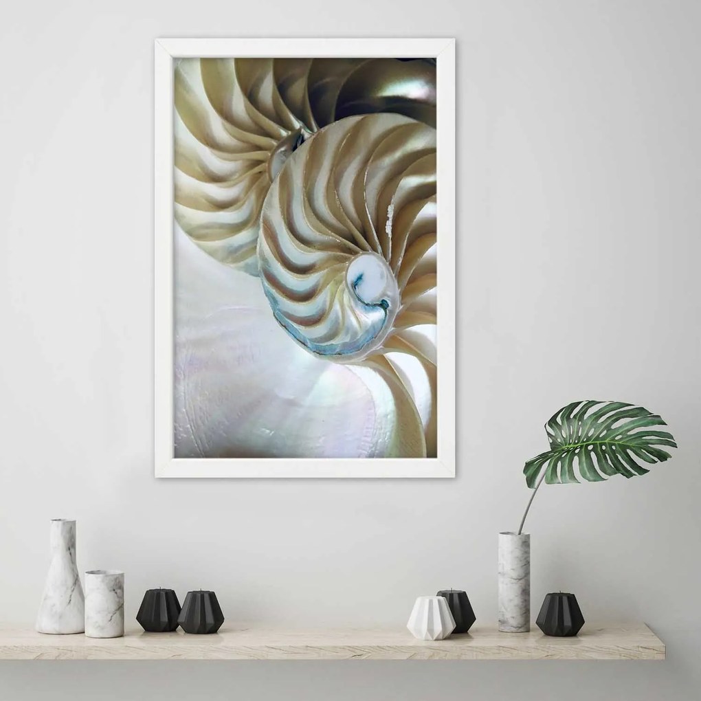 Gario Plagát Vnútro škrupiny Farba rámu: Bez rámu, Rozmery: 30 x 45 cm