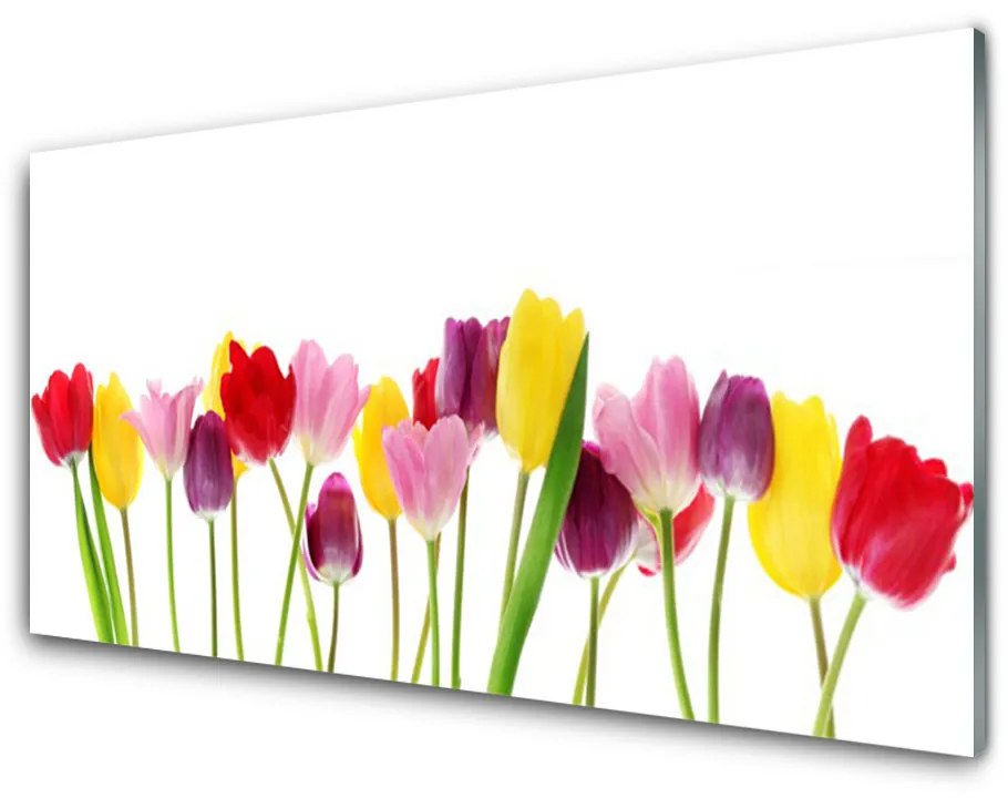 Nástenný panel  Tulipány kvety rastlina 120x60 cm