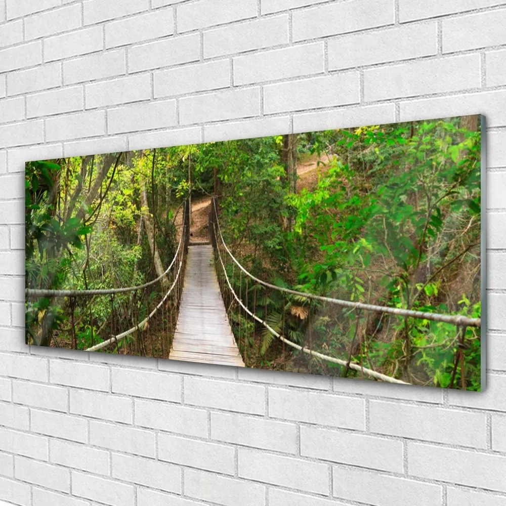 Obraz plexi Most džungľa tropický les 125x50 cm