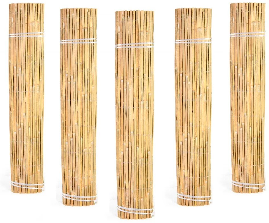 Bambusová zástena 1,5x5 metrov Bluegarden Sasha
