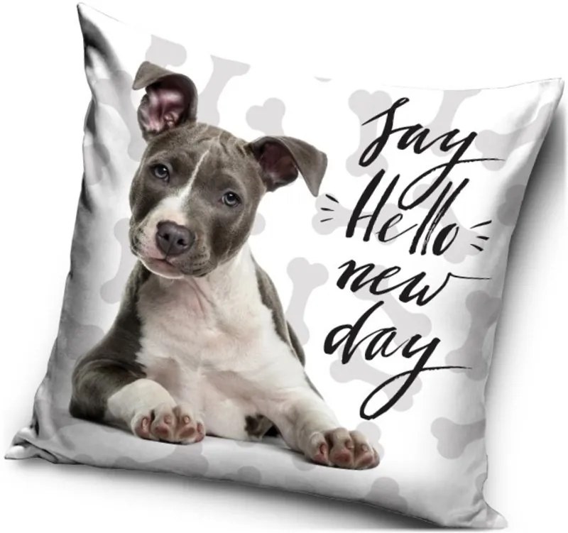 Vankúš s Pitbullom - motív Say hello new day - Pozdrav nový deň - 40 x 40 cm
