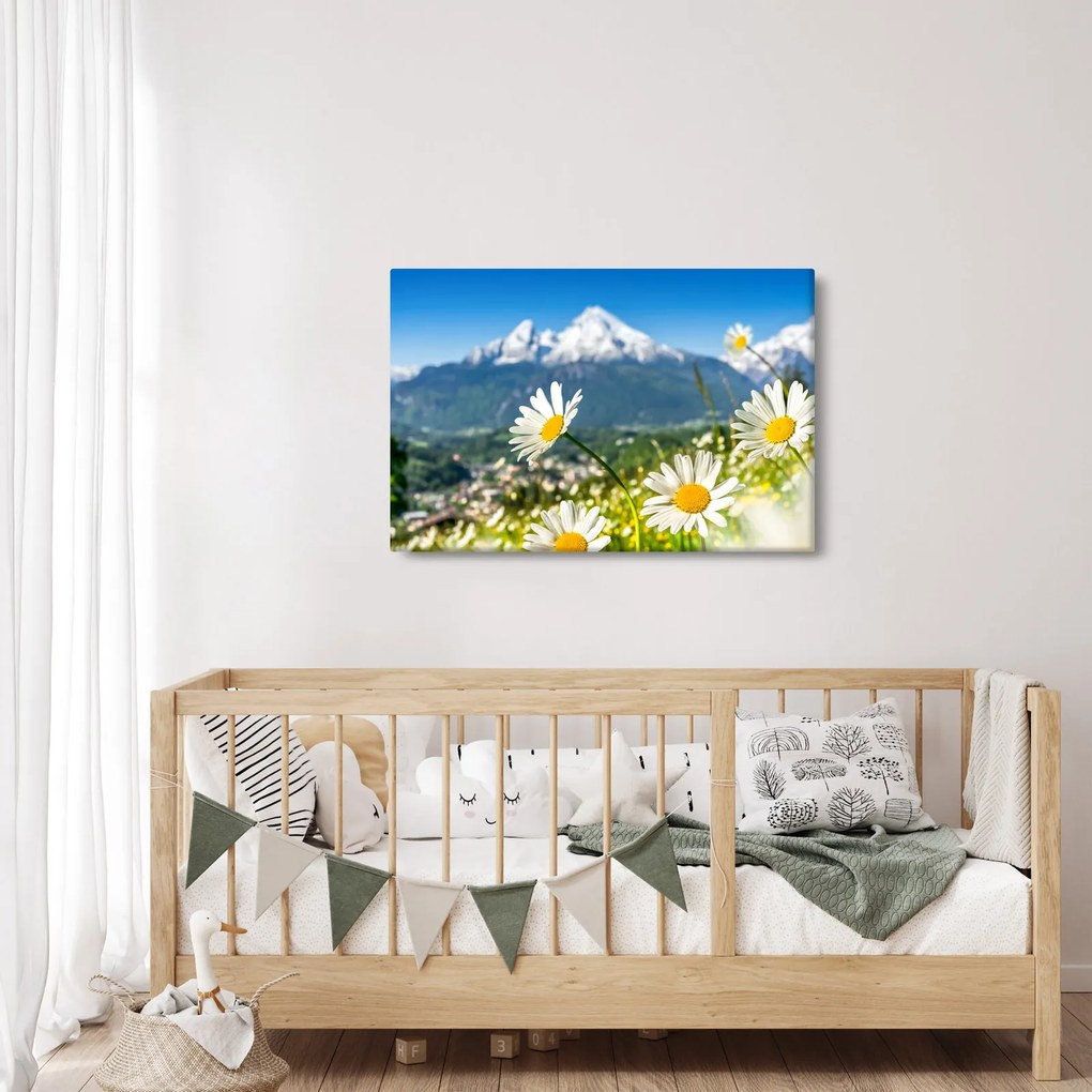 Obraz - Jar v Alpách (90x60 cm)