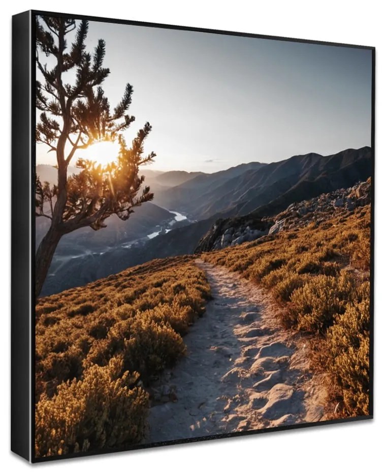 Obraz 50x50 cm Mountain Path