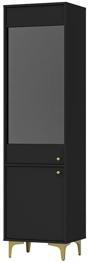 Vitrína Tokyo 1 2D čierny grafit 101