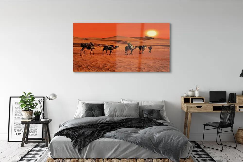 Obraz plexi Ťavy ľudí púštne slnko neba 140x70 cm