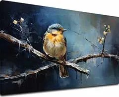 Obrazy vtáky Tichý oddych