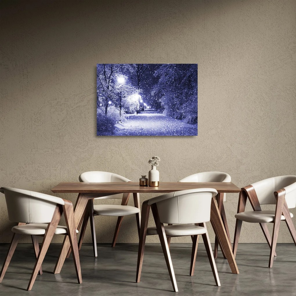 Sklenený obraz - Čarovná zimná noc (70x50 cm)