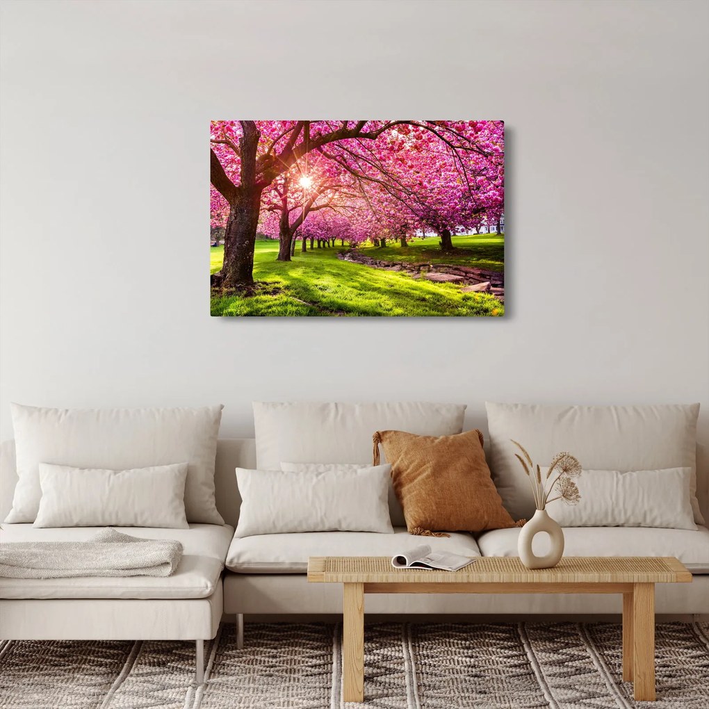 Obraz rozkvitnutých čerešní, Hurd Park, Dover, New Jersey (90x60 cm)