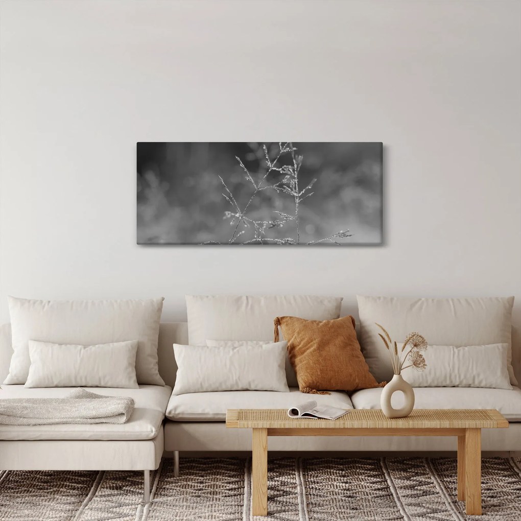 Obraz - Vidiecka lúka (120x50 cm)